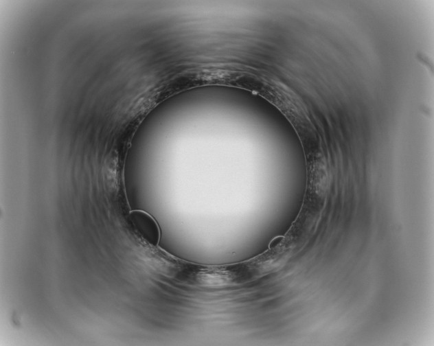 X0000096200510200802011303