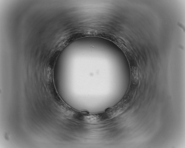 X0000096200511200802011303