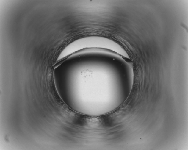 X0000096200513200802011303