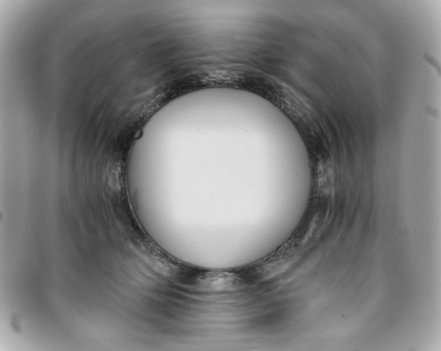 X0000096200514200802011303