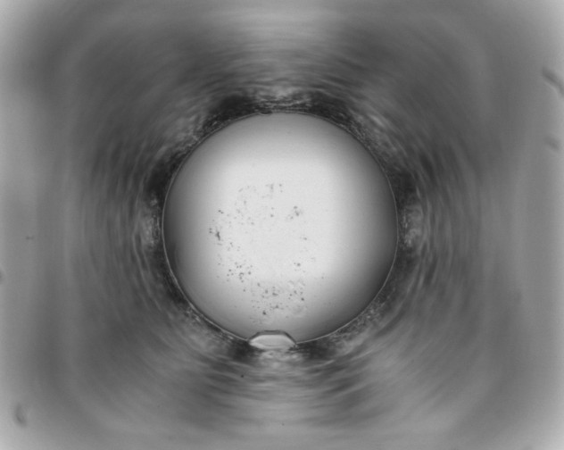 X0000096200515200802011303