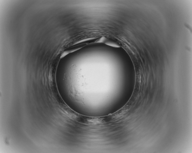 X0000096200516200802011303