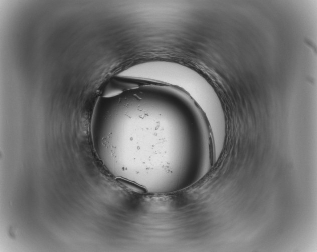 X0000096200517200802011302