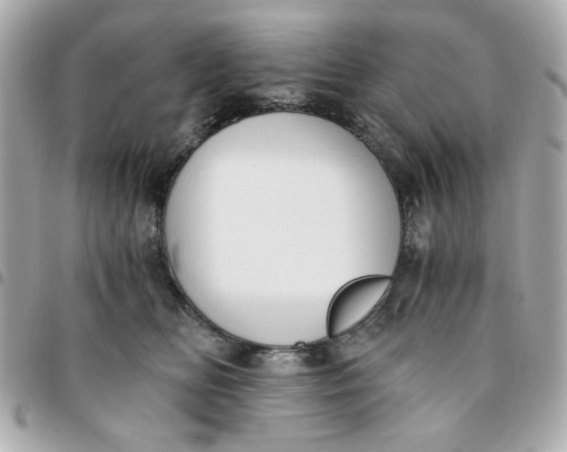 X0000096200518200802011302