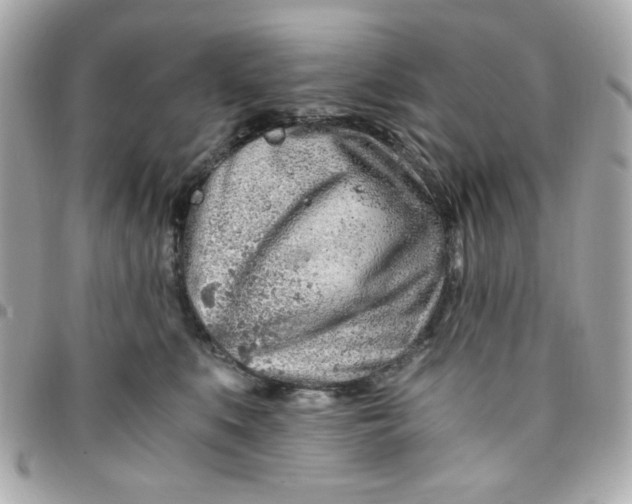 X0000096200519200802011302