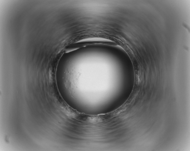 X0000096200520200802011302