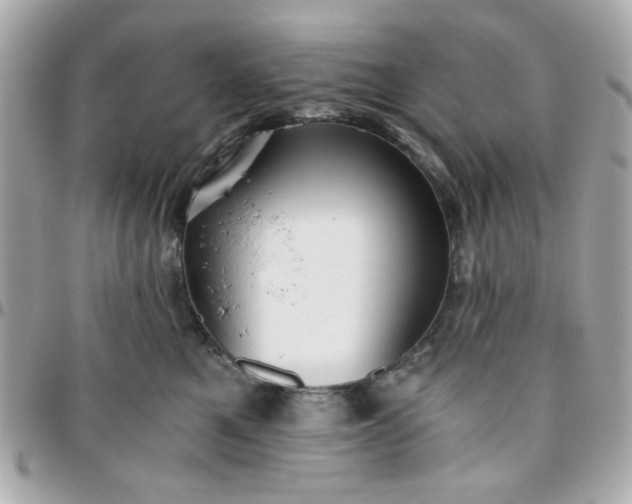 X0000096200521200802011302