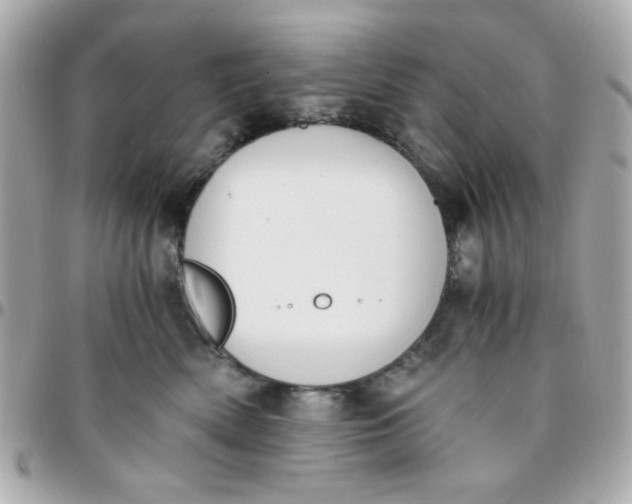 X0000096200522200802011302