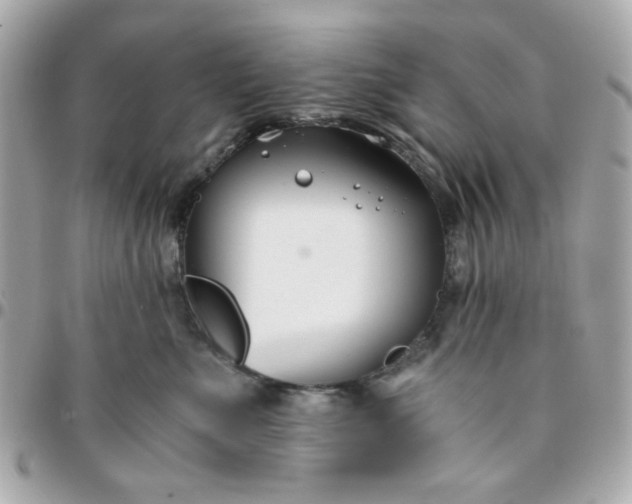 X0000096200523200802011302