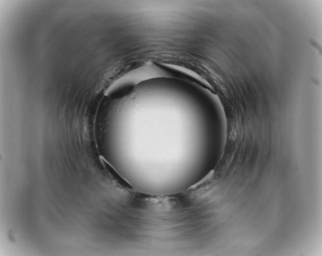 X0000096200524200802011302