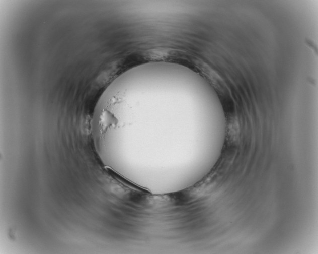 X0000096200525200802011302