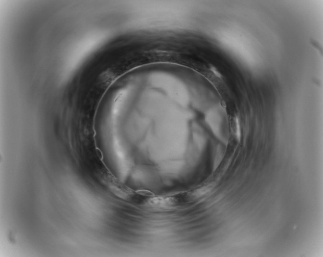 X0000096200526200802011302