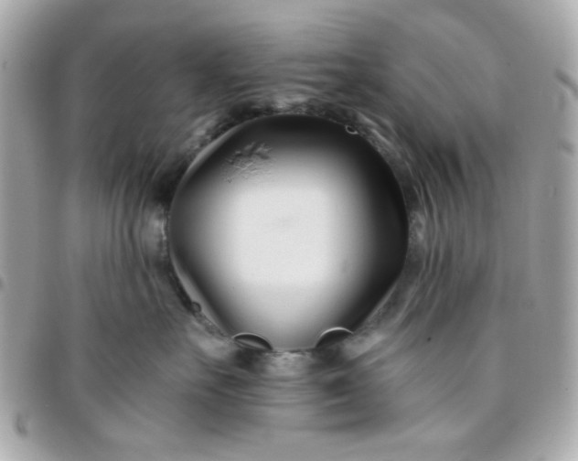 X0000096200527200802011302