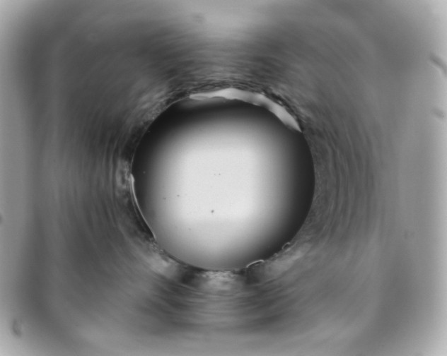 X0000096200528200802011302