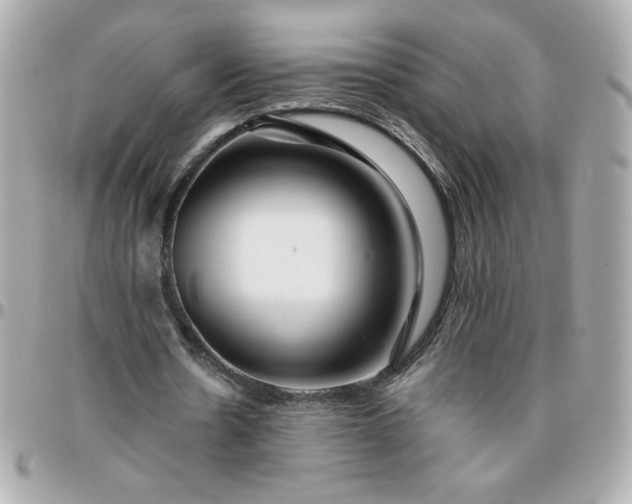 X0000096200530200802011302