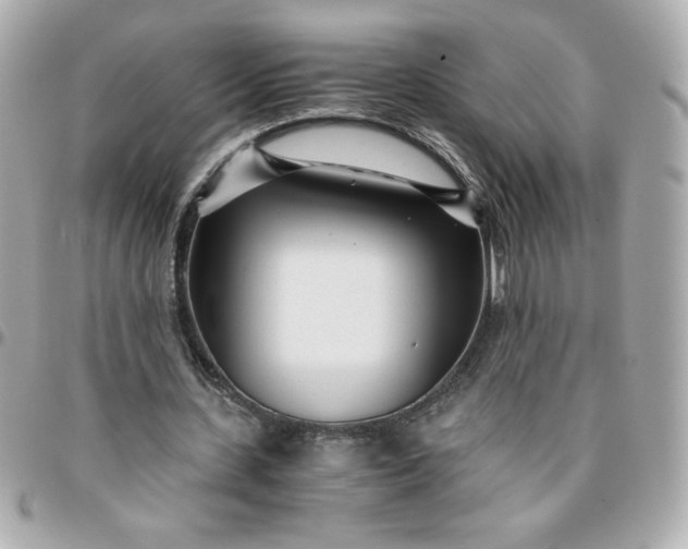 X0000096200531200802011302