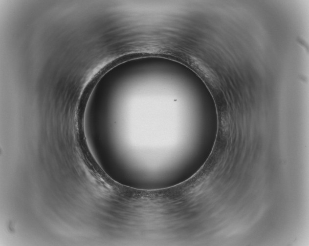 X0000096200532200802011302