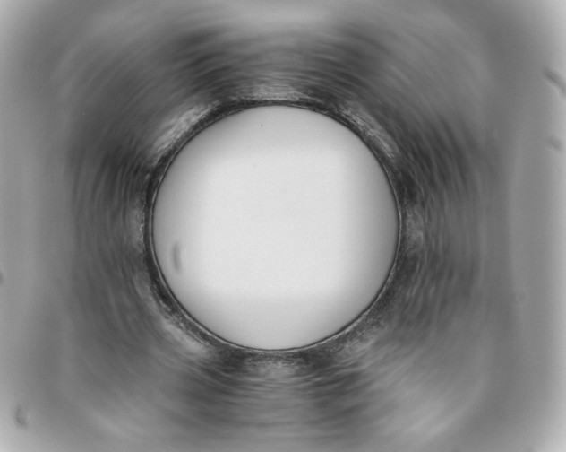 X0000096200533200802011302