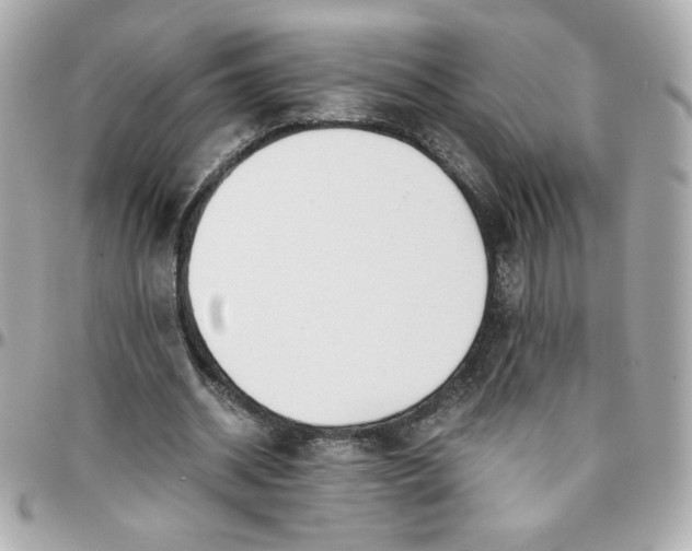 X0000096200534200802011302