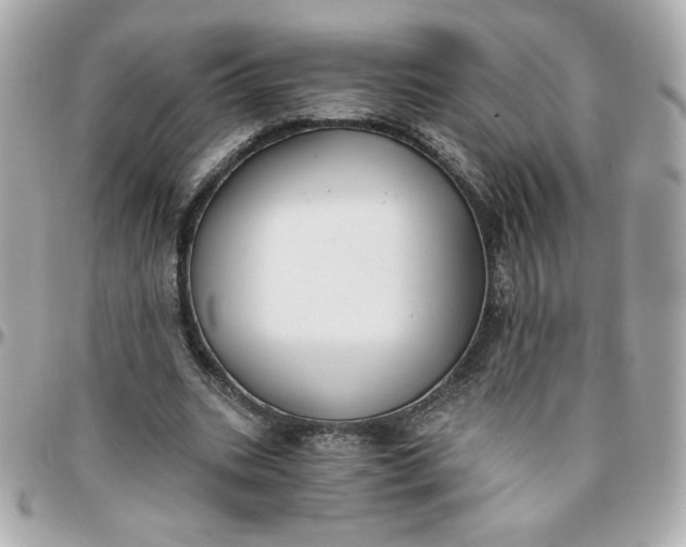 X0000096200535200802011302