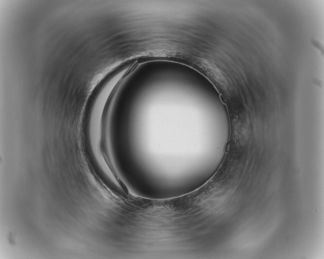 X0000096200536200802011302