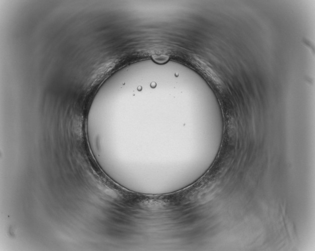 X0000096200537200802011302