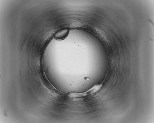 X0000096200539200802011302