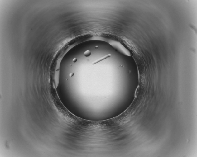 X0000096200540200802011302