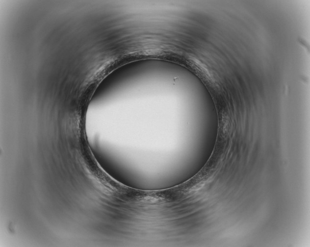 X0000096200542200802011302