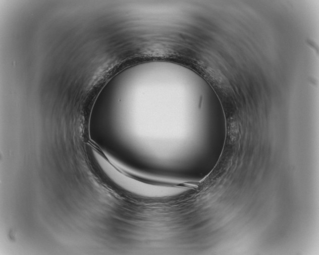 X0000096200544200802011302