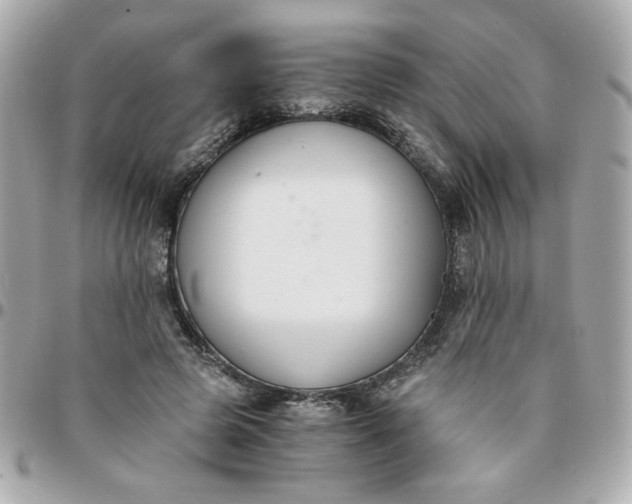 X0000096200545200802011302