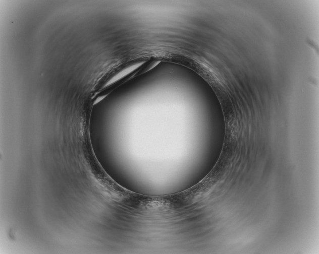 X0000096200546200802011302