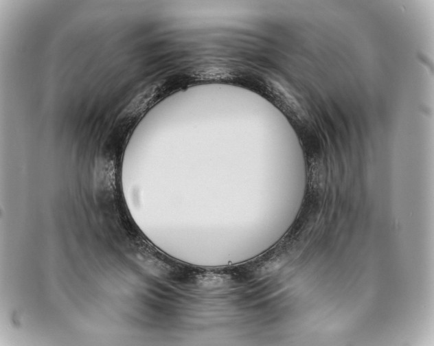 X0000096200549200802011302