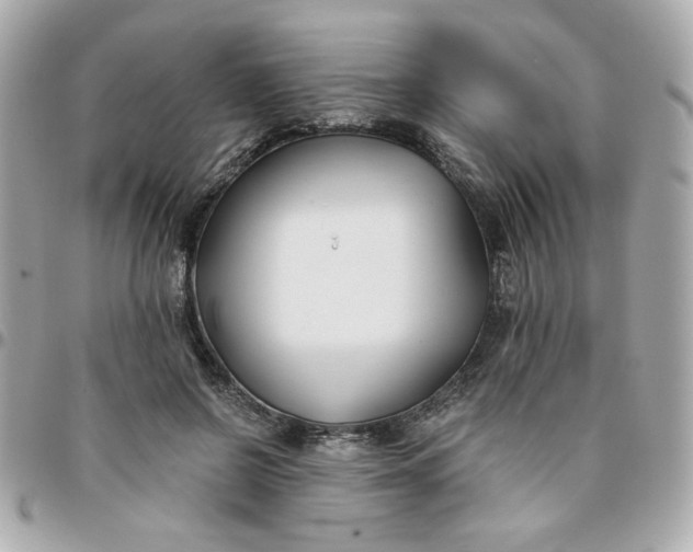 X0000096200550200802011302