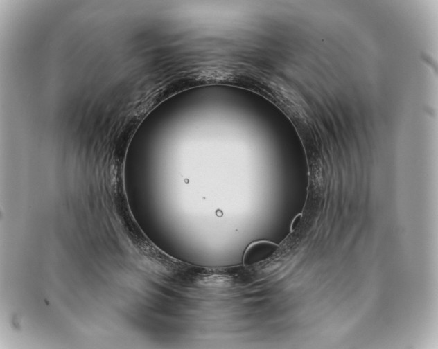 X0000096200551200802011302