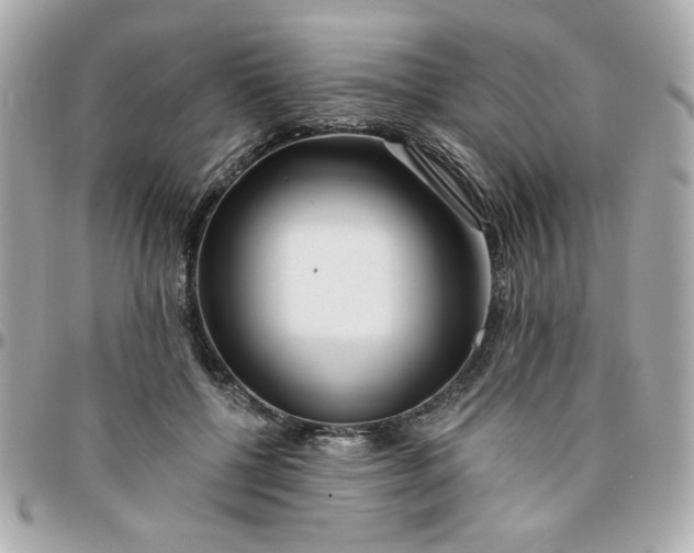 X0000096200552200802011302