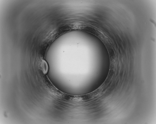 X0000096200554200802011302