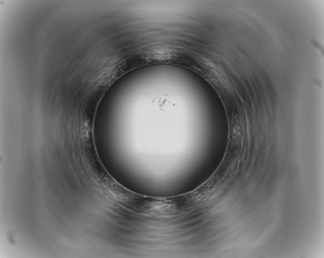 X0000096200555200802011302