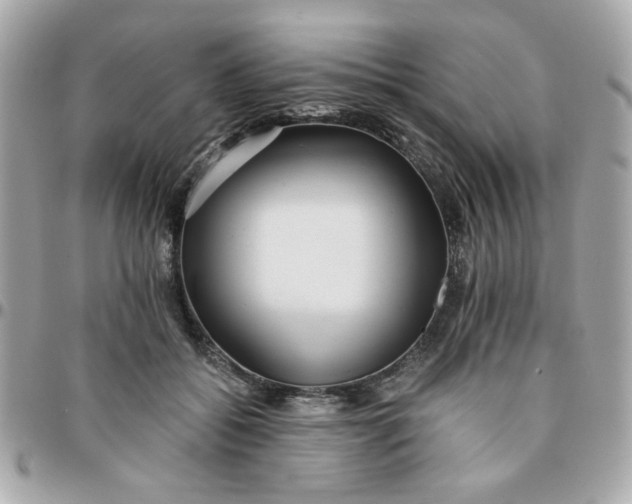 X0000096200556200802011302