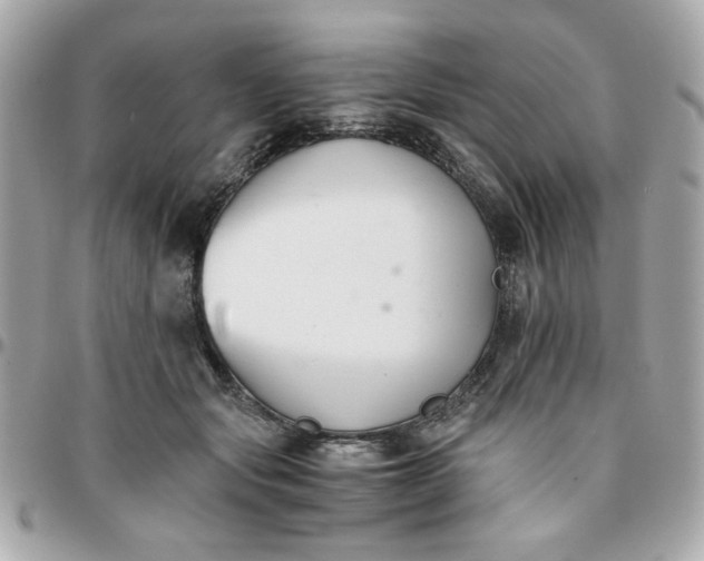 X0000096200557200802011302