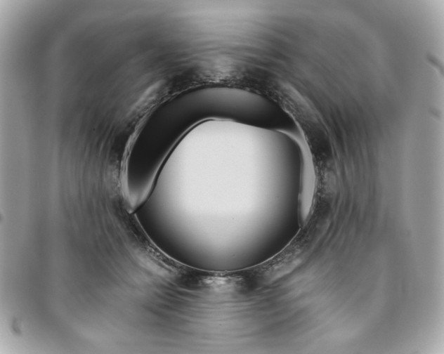 X0000096200558200802011302