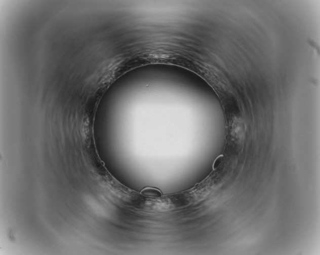 X0000096200559200802011302