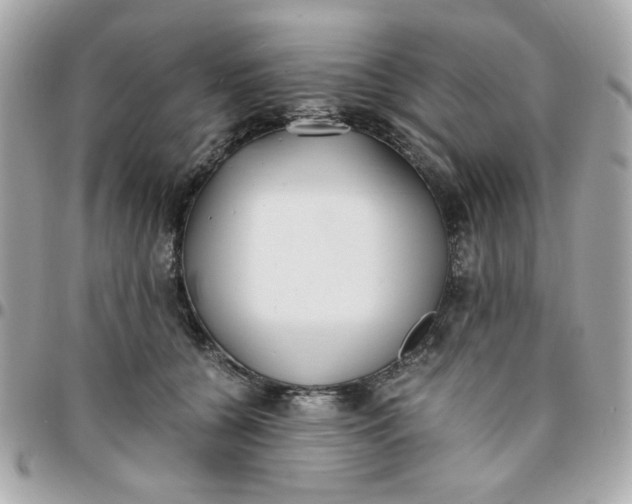 X0000096200560200802011302