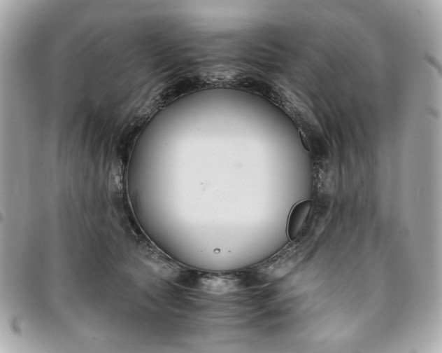 X0000096200561200802011302