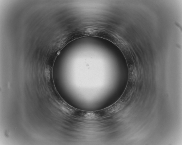 X0000096200562200802011302