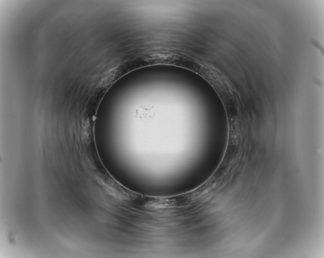 X0000096200563200802011302