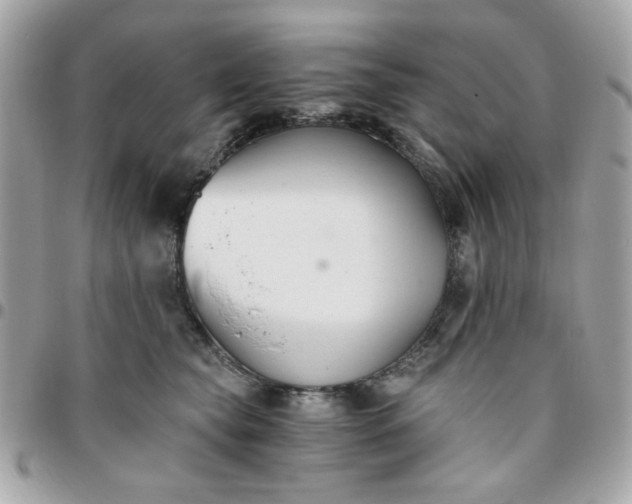 X0000096200565200802011302