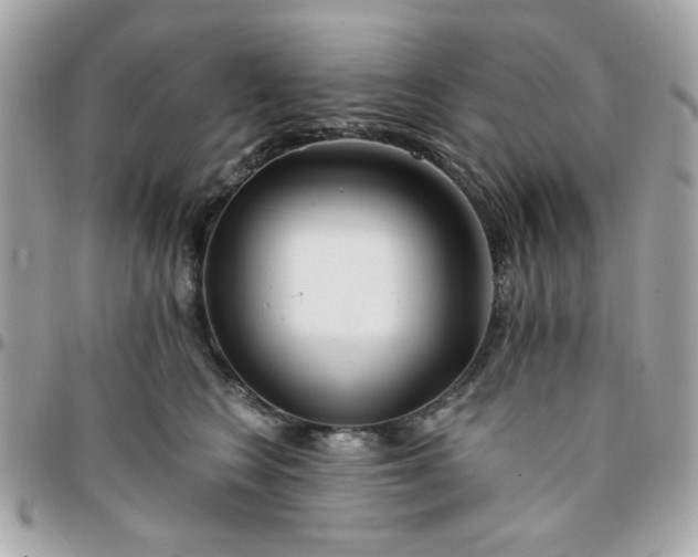 X0000096200566200802011302