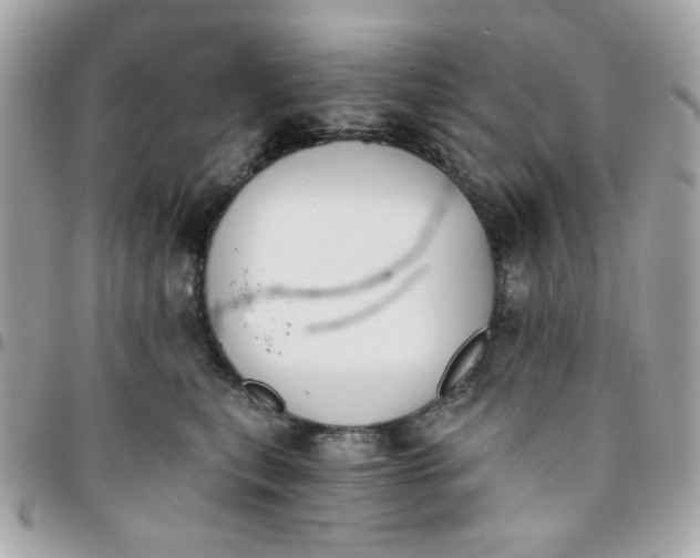 X0000096200567200802011302