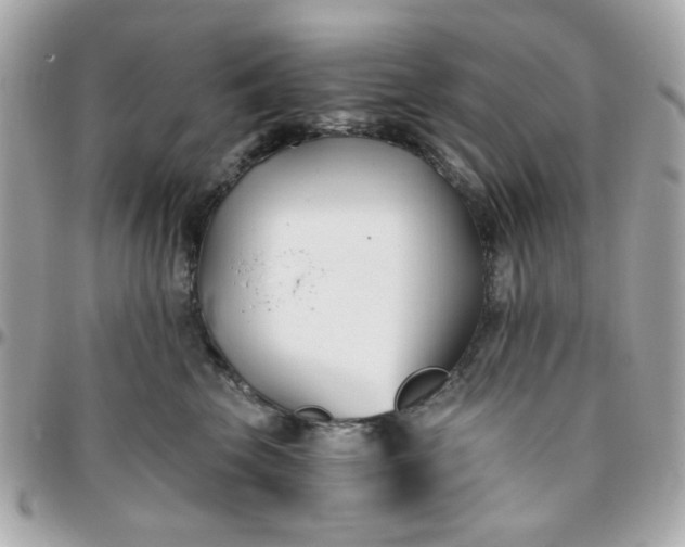 X0000096200569200802011302